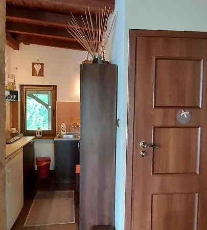 Letniskowy Pod Swierkami Holiday home *